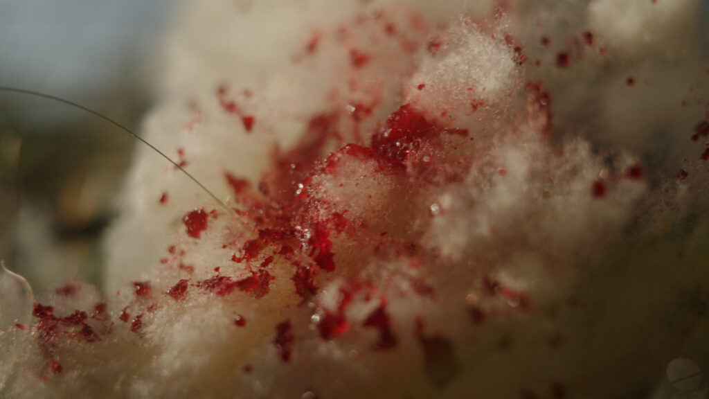 Sequence 01.00_01_12_06.Still004