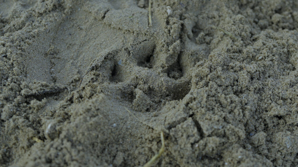 Sequence 02.00_03_38_12.Still002