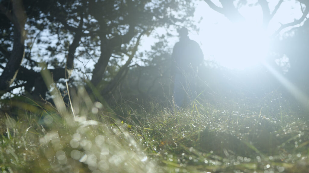 Sequence 02.00_03_44_13.Still003