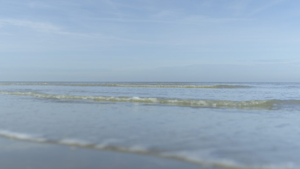 Sequence 02.00_06_12_18.Still008